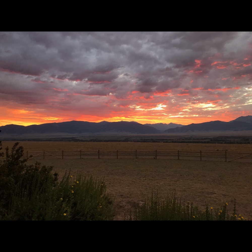 Meet your Posher, Christine